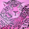 Pink Leo (2007), 60 x 60 cm, Acryl auf Leinwand