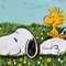 Snoopy riecht die Wiesenblumen (2026), 30 x 60 x 4 cm, Acryl auf Leinwand