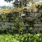 Quelques vestiges de murs du château, en contrebas du sentier botanique. 