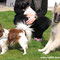 März 2014: 3 Hunde auf 1 Foto zu brigen, wovon einer ein Welpe und einer krank ist, ist ganz schön schwierig...
