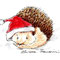 Piercy the hedgehog 2011- Chiara Tomaini