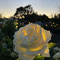 神奈川県立花と緑のふれあいセンター「花菜ガーデン」夕暮れのバラ園 ～マジックアワーとバラと灯りと～　2021年11月23日
