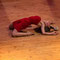 Mónica García. Staying Alive. Matarile Teatro. Foto: Rubén Vilanova, GRISMEDIO