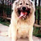 Nijana - 8 meseci / 8 month