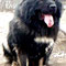 BAGRAT
