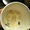 goodbye Graeters