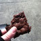 Brownie for breakfast