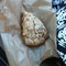vegan fruit scone (not pictured Coffee)