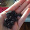 chocolate chips (added to the nuts)