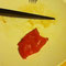 Ahi sashimi w/ soy sauce