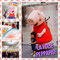 Peppa pig centre commercial magasin rencontre photocall personnages officiels