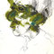 Meneer (1998) — tekening met acrylverf en potlood van een mannenportret in profiel, waarbij groenachtige verfvlakken het gezicht gedeeltelijk overschilderen.
