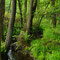 Foto: Immo Vollmer