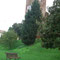 ASOLO by Chiara 