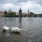 Praga,rio moldava