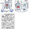 沸騰水型と加圧水型の原子炉