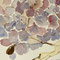 A5 Aquarell Ausschnitt Hortensien Fr. 60.-