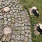 Fundamente/foundations