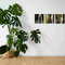 Mockup dient der Veranschaulichung. Bildnachweis: <a href="https://www.freepik.com/free-photo/indoor-plants-studio_94548591.htm">Image by freepik</a>