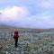 Silke auf den letzten Metern des Tages - links der Gipfel des Dágariabddå (1638 m).