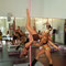 Training mit d. Weltmeisterin im Poledamce "Felix Cane"