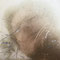 Bild 06