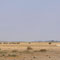 Weite Ebende in Amboseli