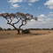 Der Amboseli Park ist Heimat vieler Massai Dörfer . Sie wissen aber ganz genau wie man neugierige Touristen ausnimmt :-) 20.- € pro Nase zahlt man wenn man 1 Stunde in eines ihrer Dörfer geht und Fotos machen möchte .