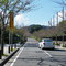 養護学校から三浦富士方面に向かって、車の先は若い桜の木