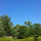 箕面東公園（五月晴れ）