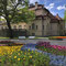 Königlicher Kurgarten Bad Reichenhall - ein Blumenmeer