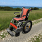Woodster Pure 40-S orange