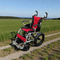 Woodster Pure 16-S rot