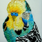 インコ　　F0（180x140mm）キャンバス　刺繍、