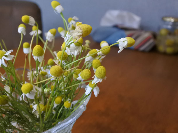 フレッシュハーブを手土産に頂きました♡