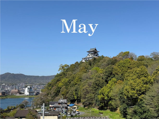 2026年5月の予約状況
