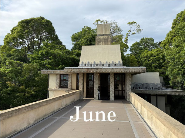 2026年6月の予約状況