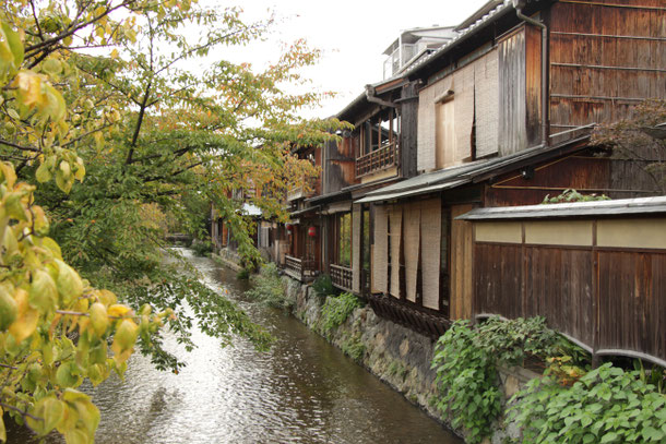 Family Friendly Walks in Kyoto, Japan - Shinbashi Dori