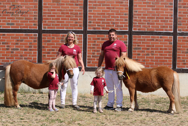 Shetlandponys aus dem Wendland