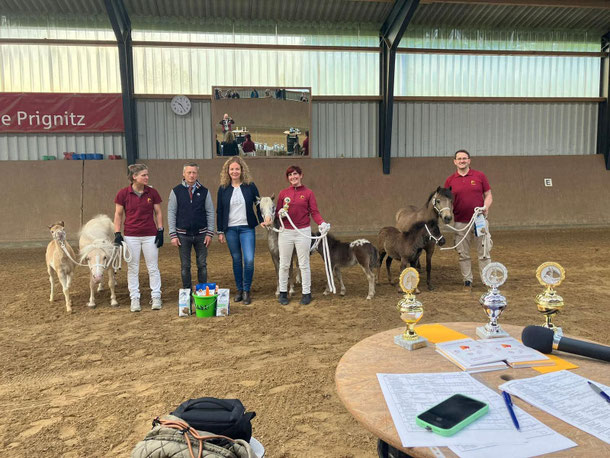 Charlyn Sommerfeld erfolgreich in Pritzwalk - 3 x Prämien- u. Championatsfohlen