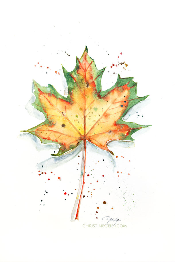 Aquarell, aquarela, watercolour, watercolor, Blatt, Ahornblatt, Herbst, Herbstaquarell, Herbstbild, herbstlich, Illustration, botanische Illustration, botanical art, leaf, maple, zeitgenössische Kunst, wissenschaftliche Illustration, Laubblatt, Kunstwerk