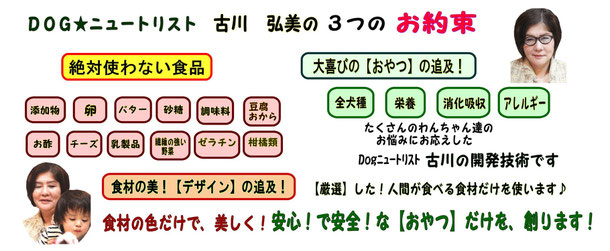 犬ケーキや無添加おやつ,手作り食WANBANAのポリシー