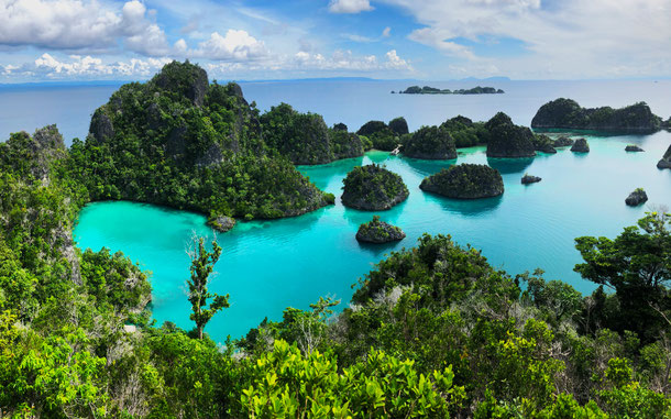 インドネシアの「ラジャ・アンパット生物圏保存地域」の絶景