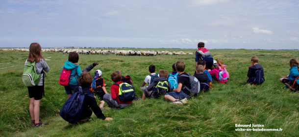 voyage scolaire en baie de Somme