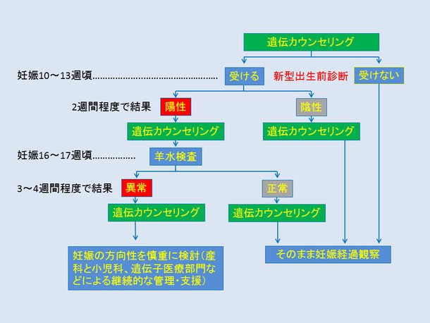 神戸大学医学部附属病院
NIPTフロー
⇧ クリックで拡大 詳細は各病院によって多少異なります。