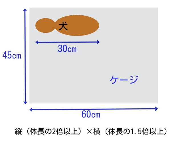 縦（体長の2倍以上）×横（体長の1.5倍以上）