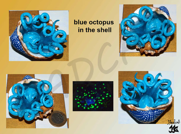 Hadcat polymer clay Fimo blue octopus in the shell