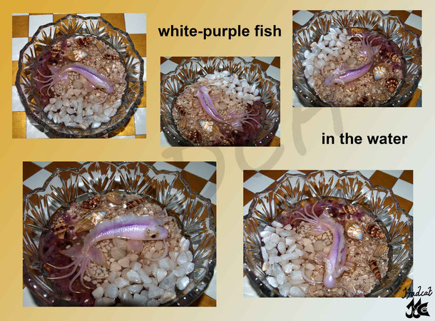 Hadcat polymer clay Fimo white-purple fish in the water