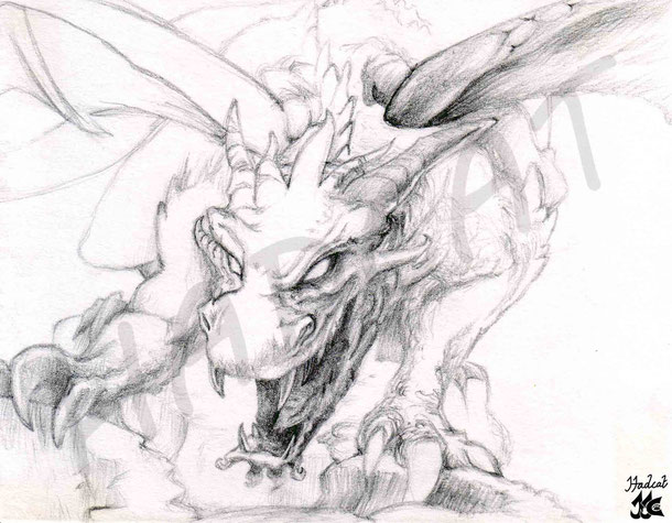 Hadcat fantasy dragon