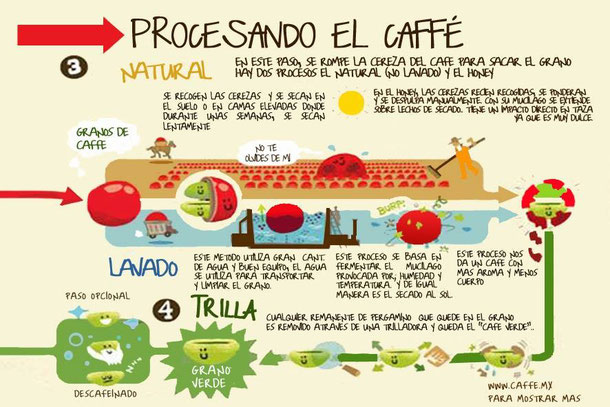 Comercialización Página web de cafetaleraelcarmen